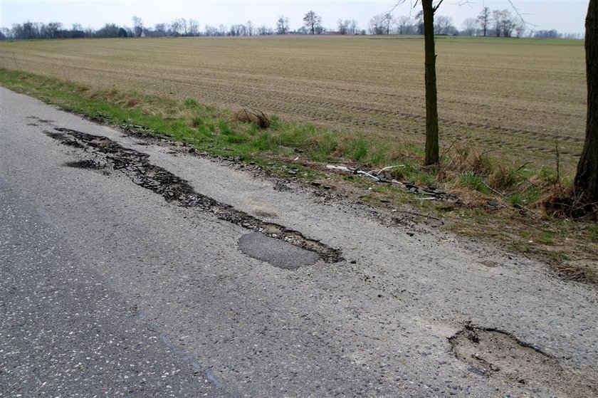 Ale gapa! Zaorał drogę! FOTO