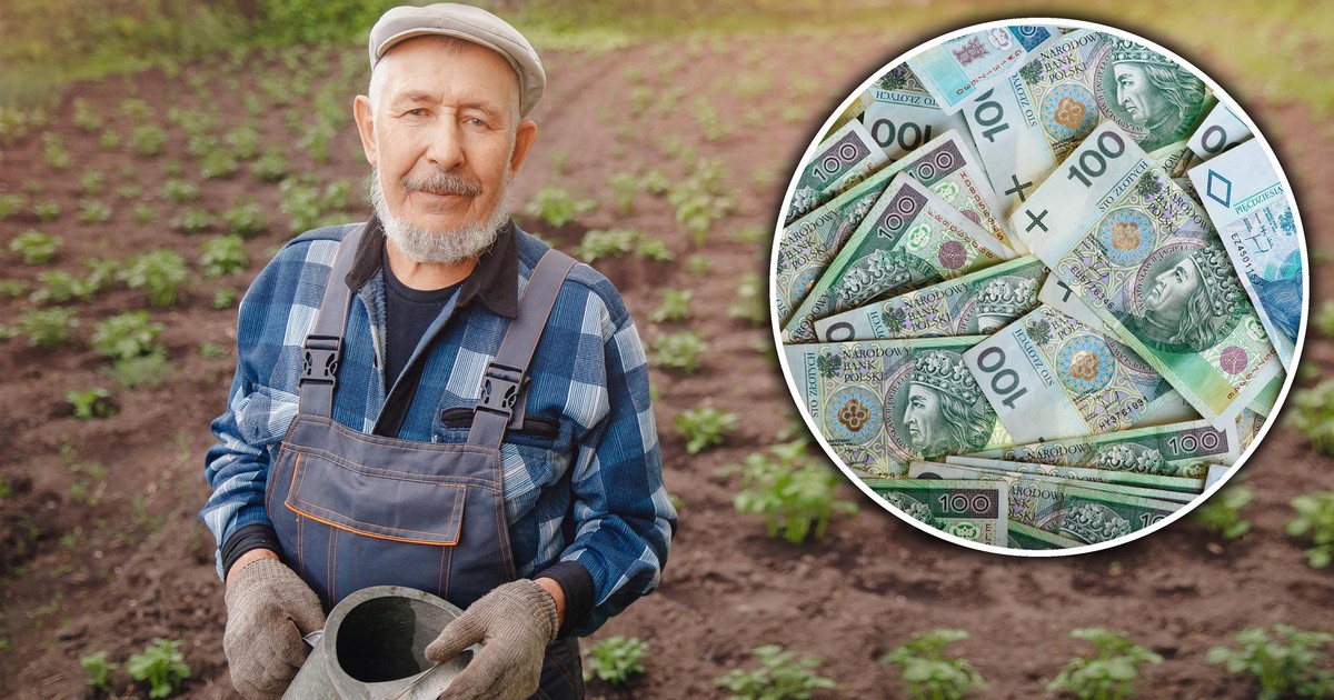 Seniorzy dostaną 1800 zł na konto. I to nie z ZUS. Już można planować wrześniowe wydatki