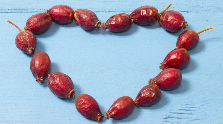 A piros termést a népi gyógyászatban szívgyógyszerként alkalmazzák / Fotó: Shutterstock