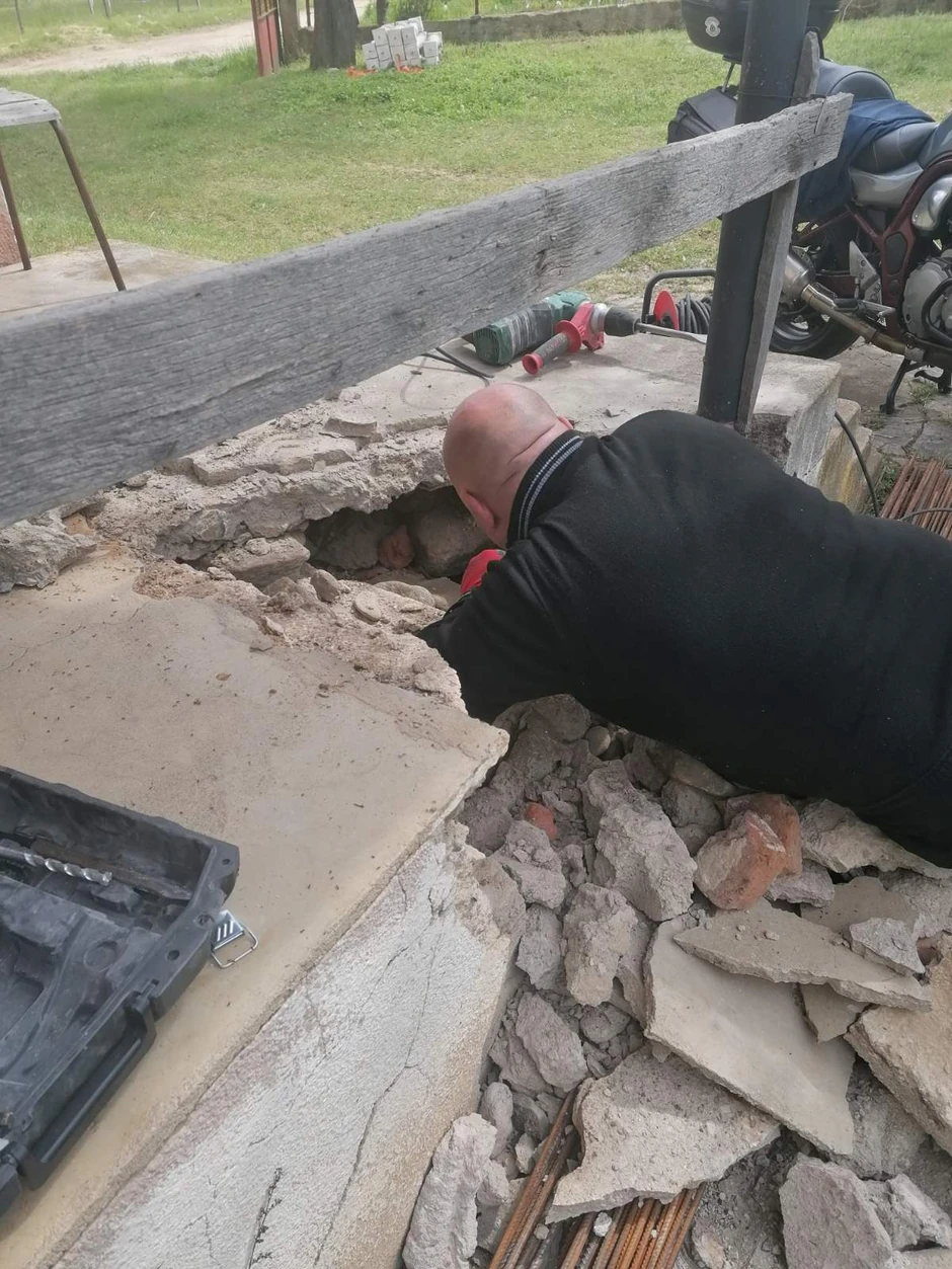 Vladica Stanković vadi zmije iz stepeništa