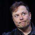 Nowy kryzys uderza w Teslę. Musk: "To jak wykupowanie zapasów papieru toaletowego"