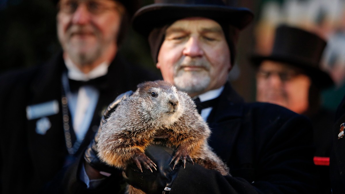 Najsłynniejszy świstak Phil w miejscowości Punxsutawney w Pensylwanii zobaczył swój cień, co oznacza, że zima potrwa jeszcze co najmniej sześć tygodni.