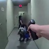 Policajaci ubili psa