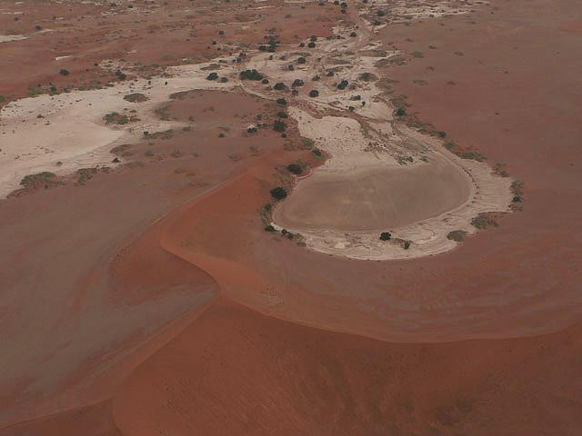 Galeria Namibia - Pustynia Namib, obrazek 8