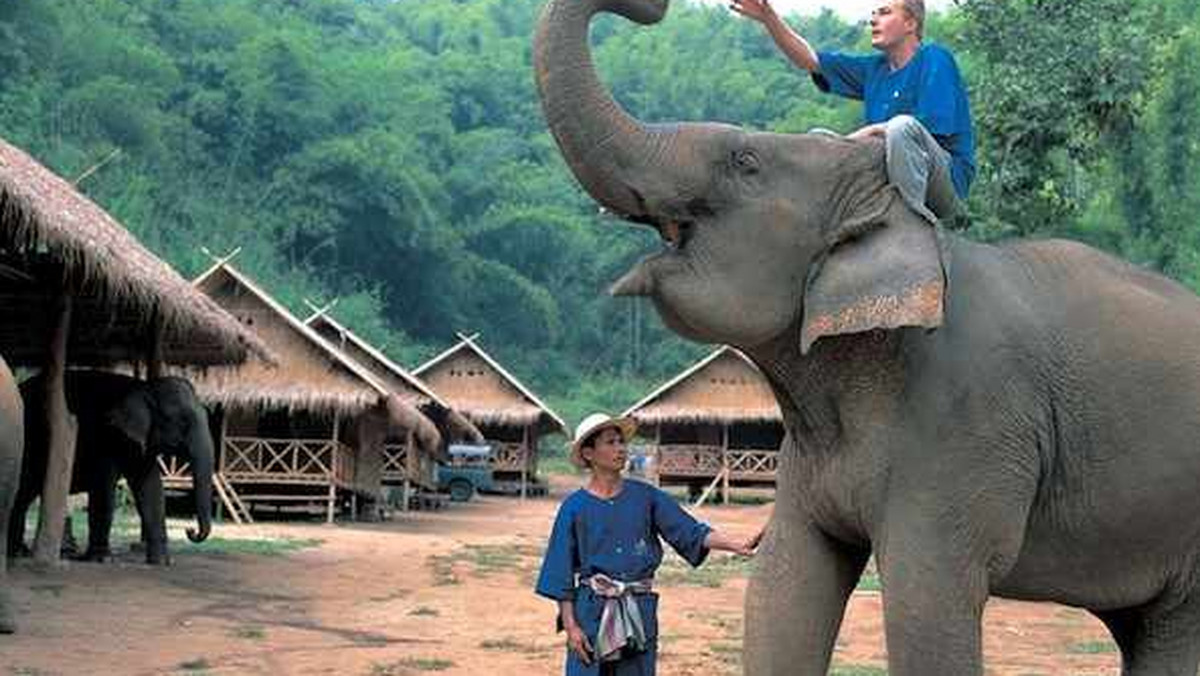 Kawa z odchodów cywety to już przeżytek. Hotel Anantara's Golden Triangle Resort w tajlandzkim Chiang Rai oferuje kawę z ziaren przetrawionych i wydalonych przez słonie. Black Ivory (pol. czarna kość słoniowa) kosztuje 50$ za filiżankę i 1100$ za kilogram.