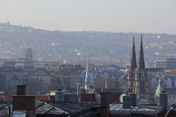 Alarmująca sytuacja w Niemczech. Media oskarżają Polskę