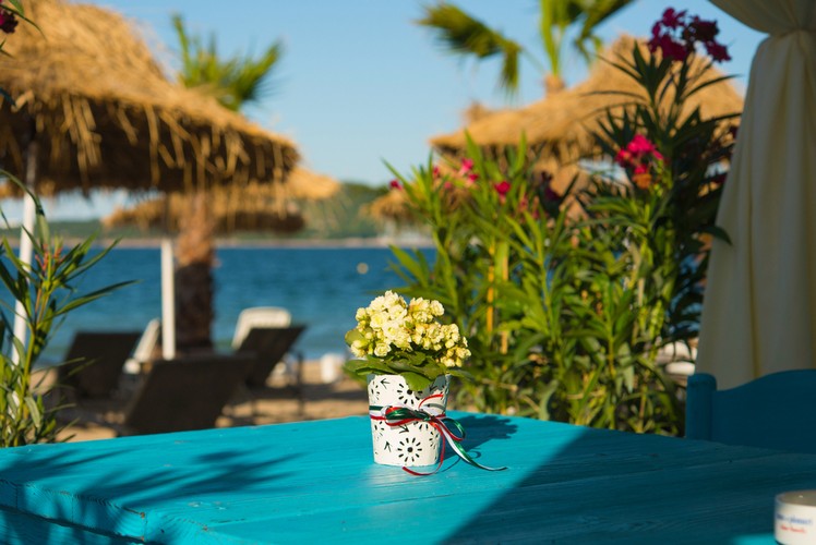 <strong>Burgas</strong>
<br></br>
<a  href=