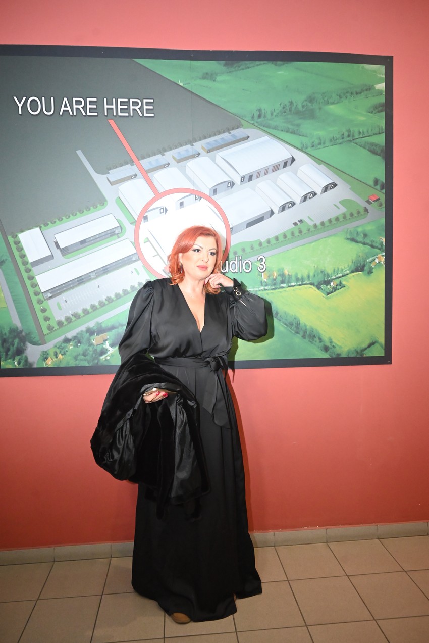 Ana Bekuta tužila pevačicu