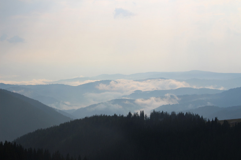 Skodą Yeti w Karpatach dla zuchwałych