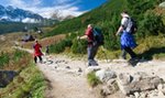 Uwaga! W Tatrach zamykają szlaki. Wszystko przez niedźwiedzicę