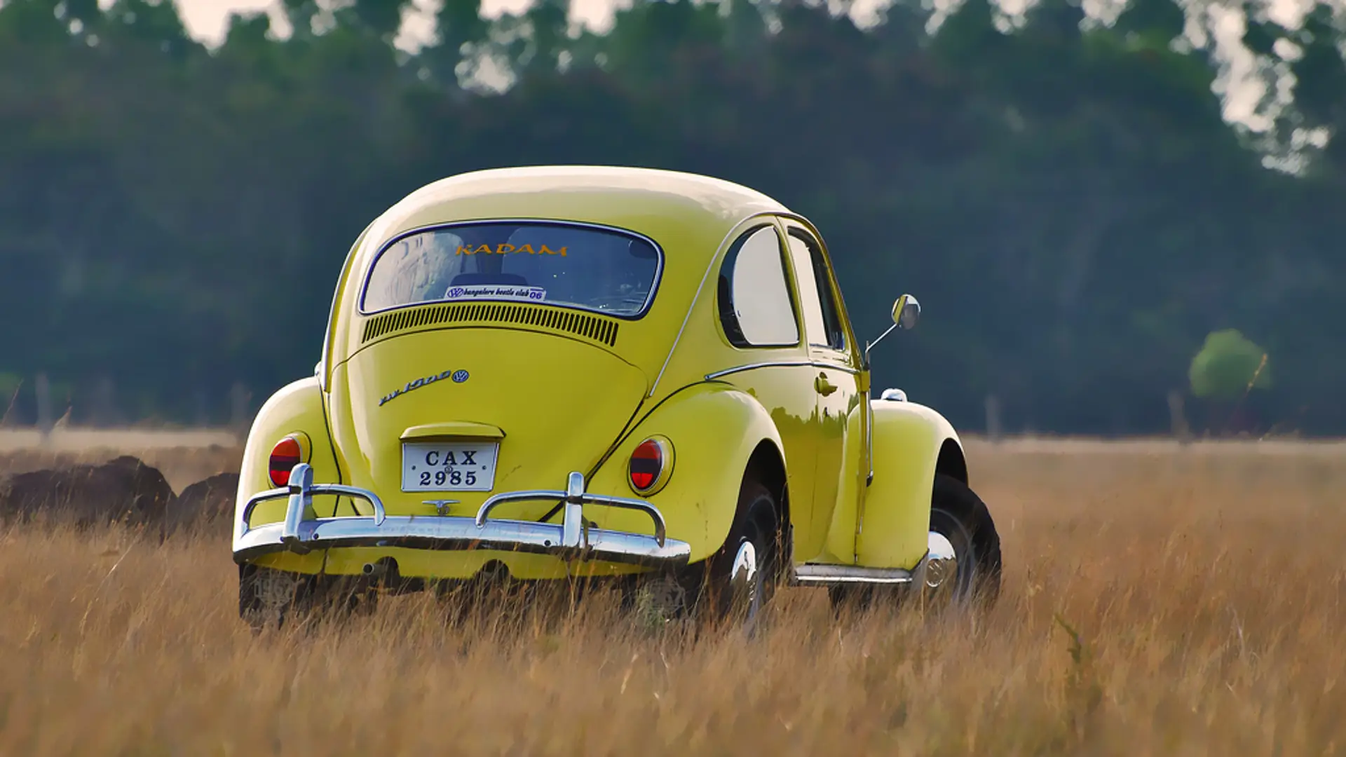 To koniec Garbusów. Volkswagen uśmierca kultowy model samochodu