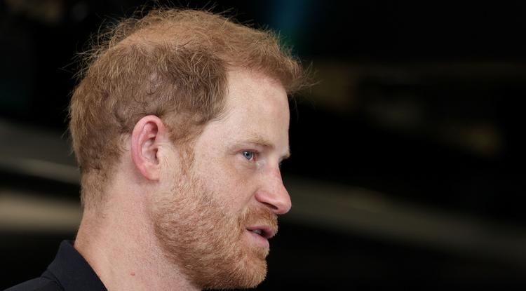 A britek nem akarják, hogy Harry visszatérjen Angliába Károly királyt meglátogatni Fotó: Getty Images