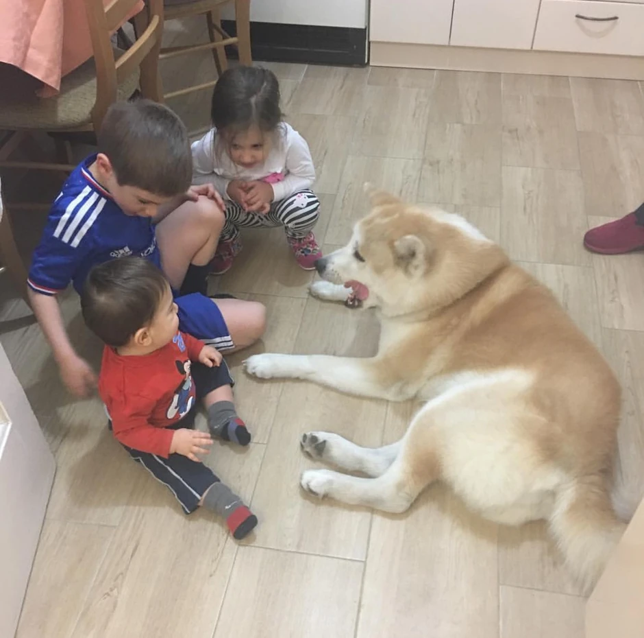 Akita Kin u društvu mališana