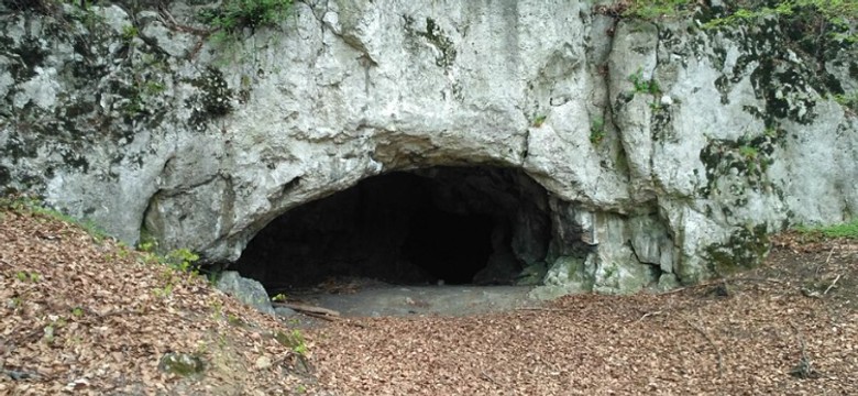 Makabryczne odkrycie archeologów. W Jaskini Maszyckiej "wydarzyło się coś gwałtownego"