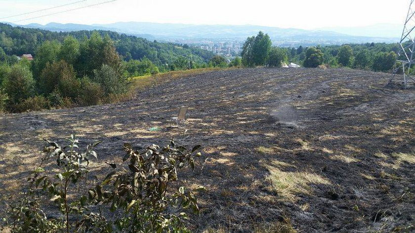 Tragedia podczas pożaru traw