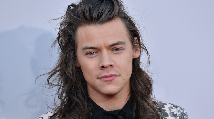 Harry Styles ismét csontsovány lenne /Fotó: Northfoto