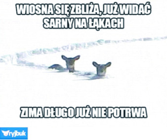 Zmęczeni zimą i zimnem internauci są niestrudzeni w wymyślaniu okolicznościowych memów Ryjbuk.pl