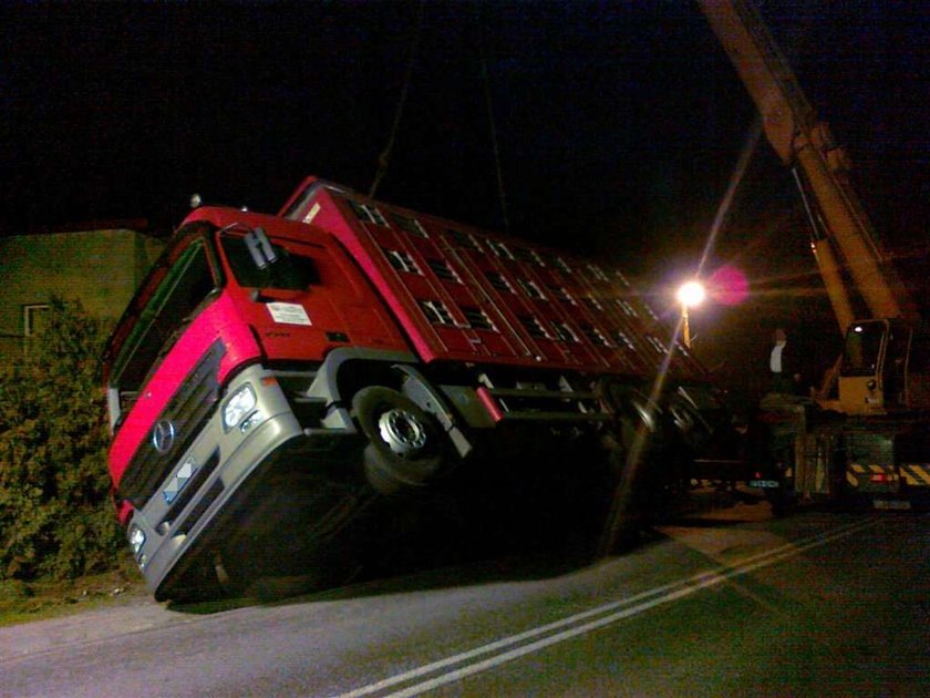 Cud! Na dziecko spadł tir ze świniami i... przeżyło!