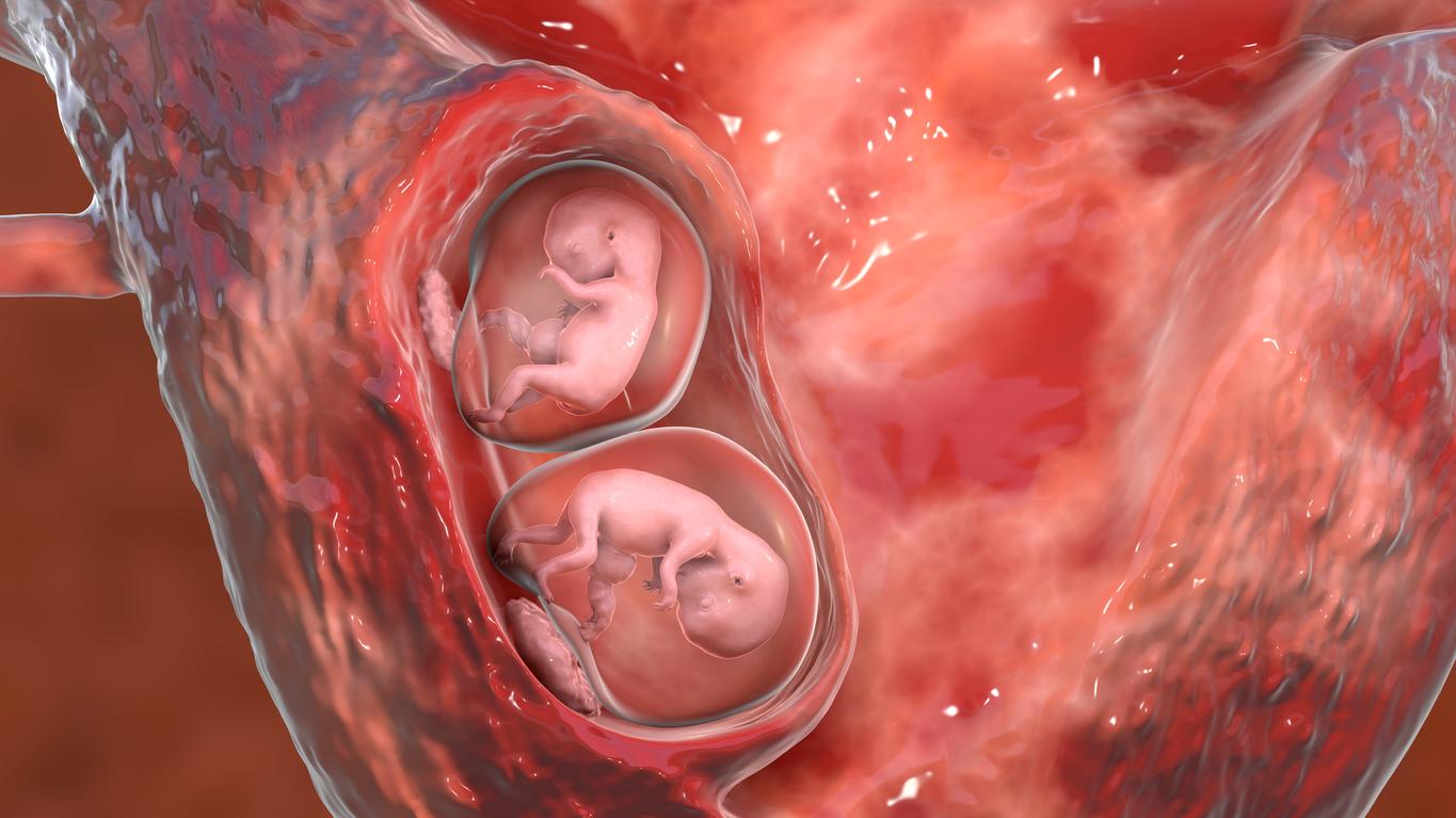 8. týždeň tehotenstva: Hoci pohlavie je dávno dané, teraz sa začínajú  vyvíjať genitálie - Tehotenstvo | Najmama.sk