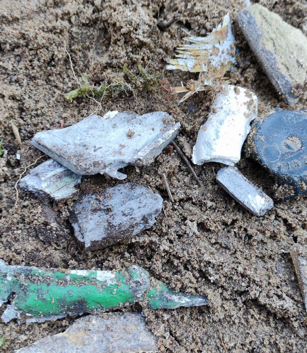 W lesie w Zamościu znaleziono obiekt wojskowy, po wywiezieniu go przez służby na miejscu zostały szczątki
