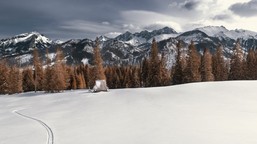 tatry w ferie za grosze. tpn zaprasza na wycieczki z przewodnikiem za