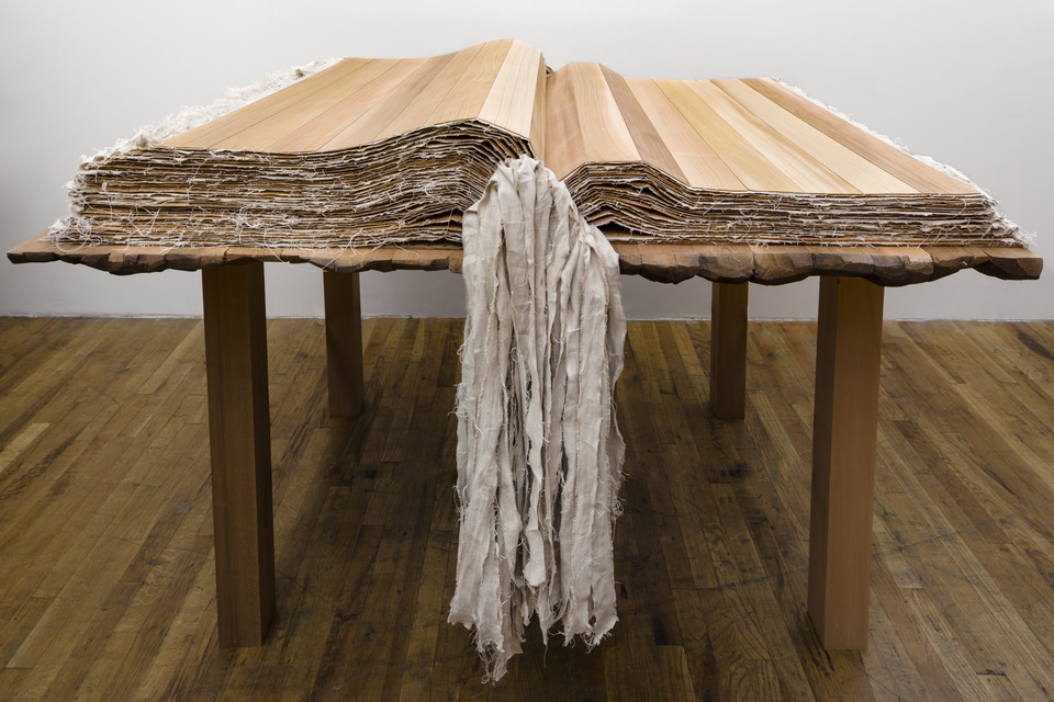 Ursula von Rydingsvard - "Book With No Words" (2017)