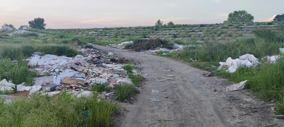 Deponija na opštini Palilula