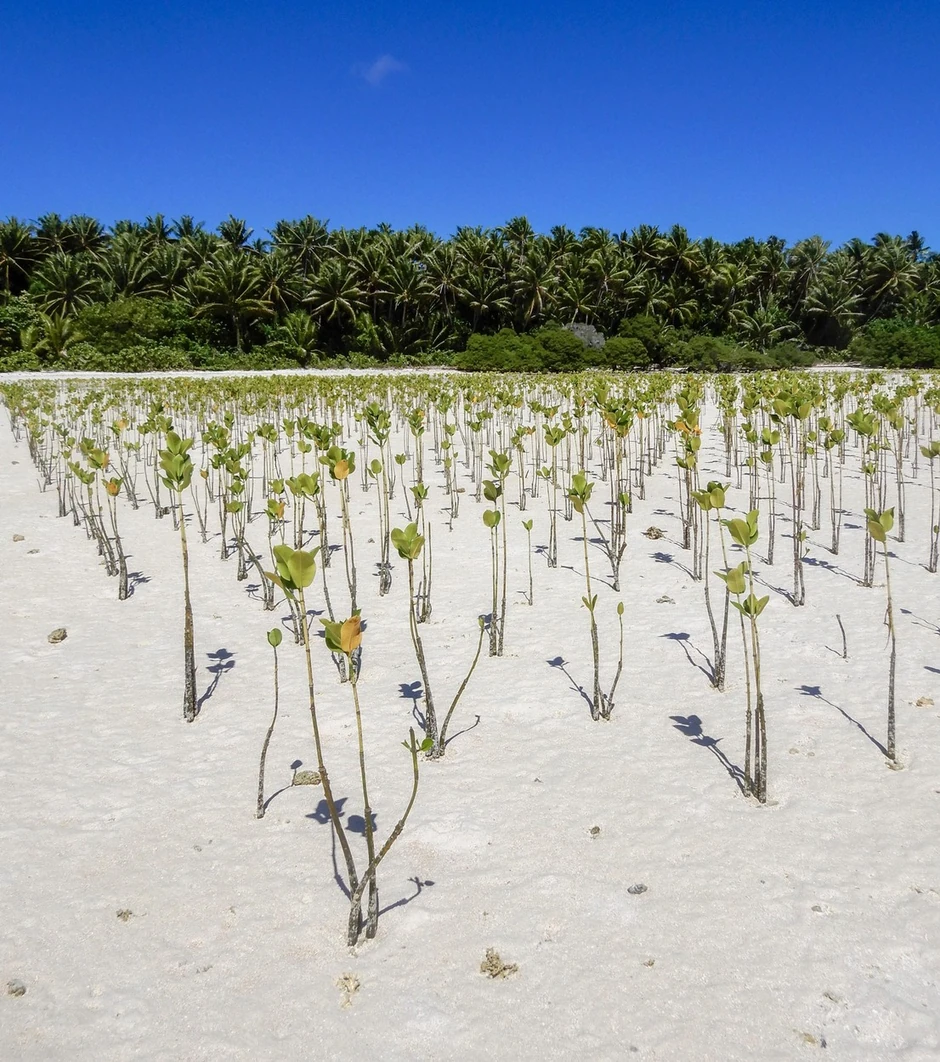 Poljoprivreda je postala nesigurna sa napretkom vode