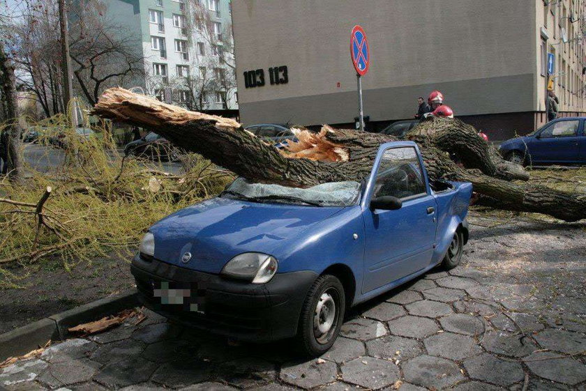 Drzewo zmiażdżyło samochód. O krok od tragedii