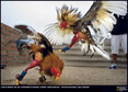 The best of Wielki Konkurs Fotograficzny National Geographic