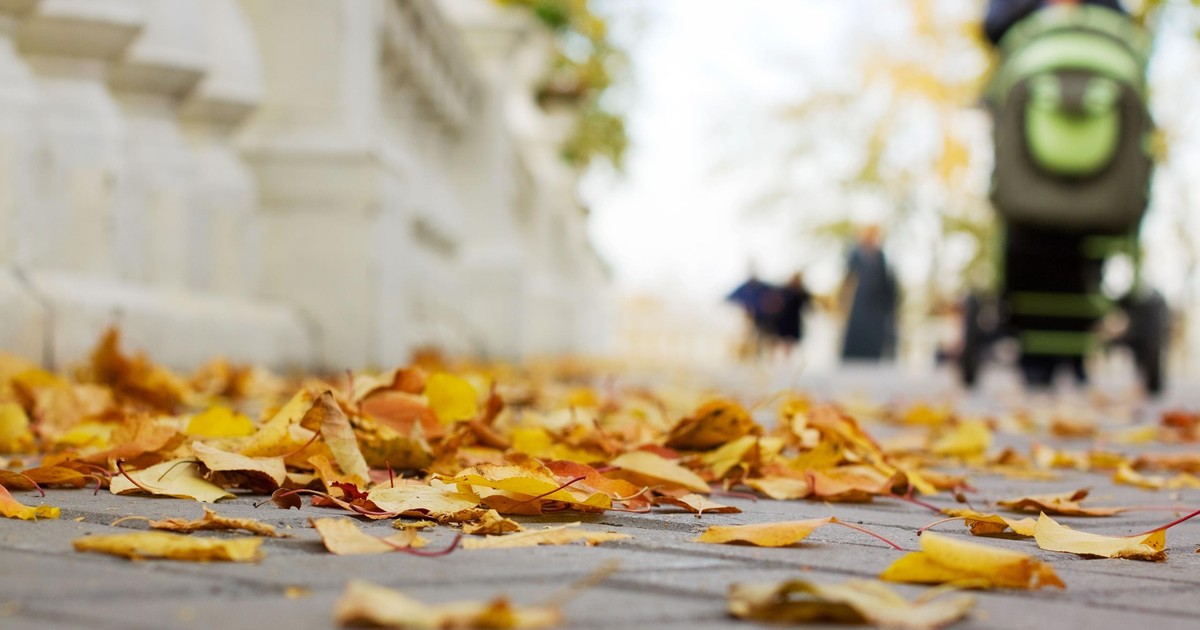 Jaka pogoda na dziś? Gęste mgły i chłodny poranek, ale nadchodzi cieplejsze powietrze z zachodu