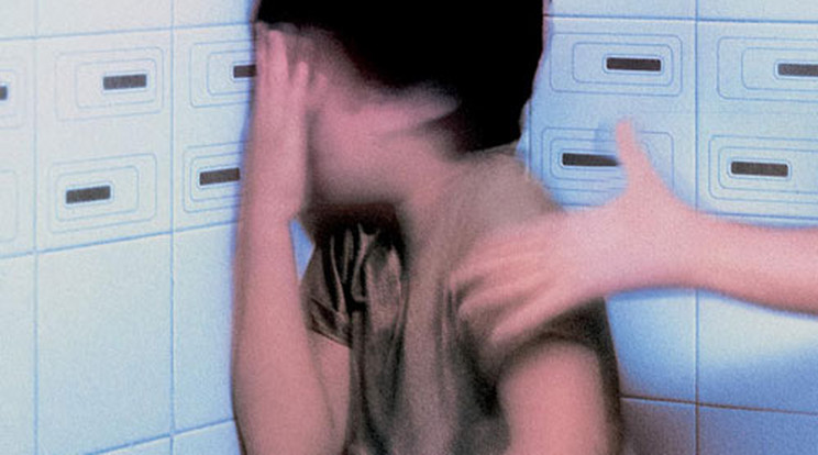 12 éves kislányt molesztált a migráns / Illusztráció: Northfoto