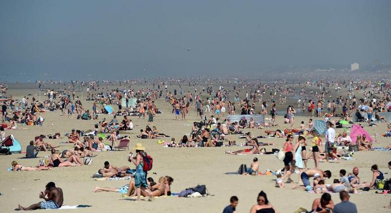 canicule au Royaume Uni