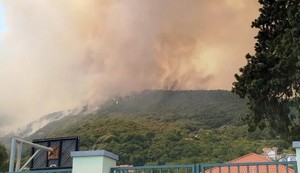 Požar u Bokokotorskom zalivuu
