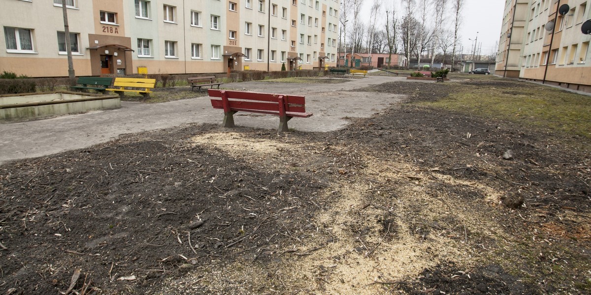 Tak wygląda przed blokiem nr 220 na Gliwickiej w Katowicach