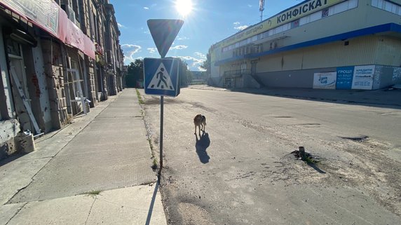 Wystawa Rising Aeon to emocje w zderzeniu z ludzkim cierpieniem — strach, współczucie, bezsilność, poczucie winy...