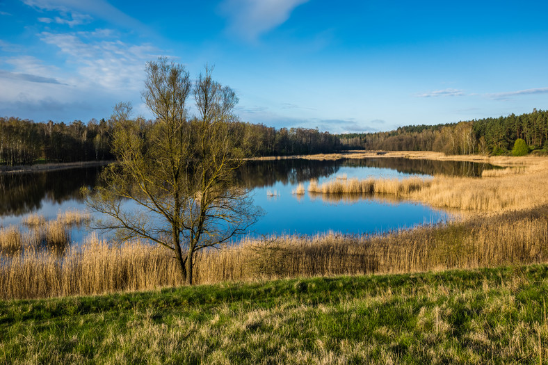 Jezioro Patelnia, Kruklanki