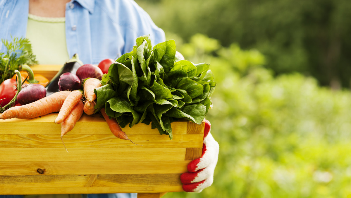 Już w piątek w centrum Polski rozpoczną się największe w kraju targi żywności ekologicznej Natura Food. Do Łodzi przyjedzie 350 wystawców z Europy Środkowo-Wschodniej.