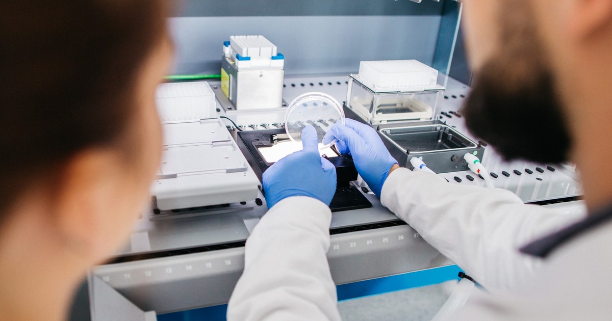 WPT oferuje badania laboratoryjne. Nie musisz inwestować