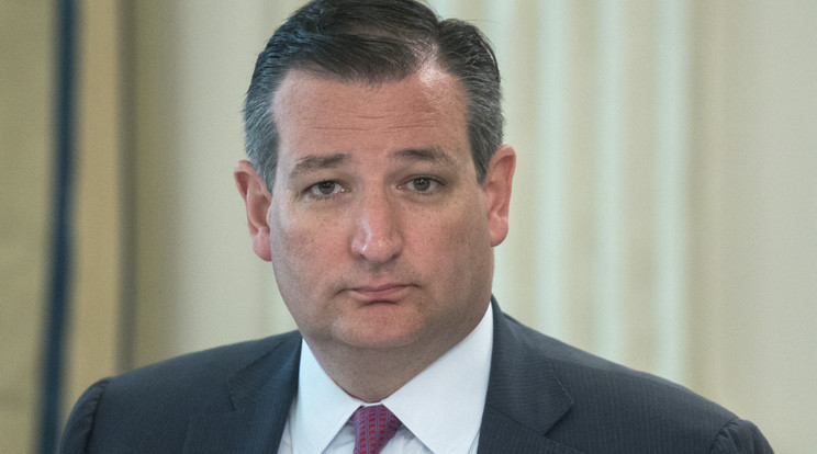 Ted Cruz, texasi szenátor /Fotó: AFP