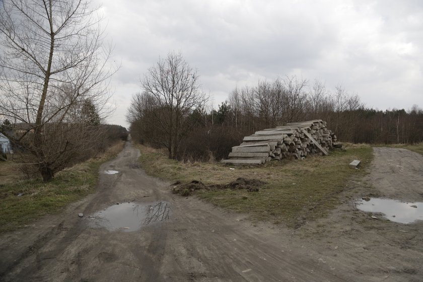 To właśnie tą drogą Wiktoria Cichocka wracała do domu 