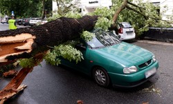 Powalone drzewa, zniszczone samochody, połamane gałęzie. Skutki nawałnicy w Warszawie