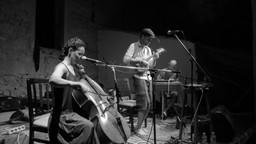 Koncert online: Nowa odsłona zespołu Dorośli