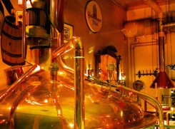 Rząd chce obniżyć akcyzę na piwo. Morawiecki: Chcemy pomóc mały browarom