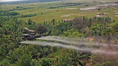 Nowotwory, martwe płody, deformacje. Pokolenia naznaczone "Agent Orange"