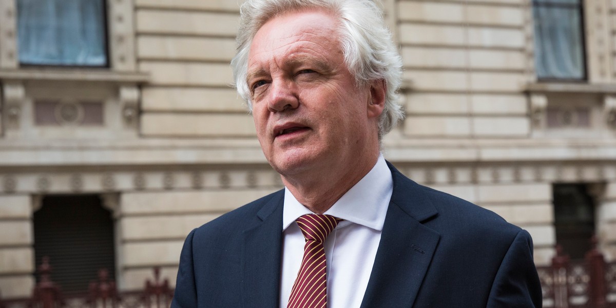 David Davis, brytyjski minister ds. Brexitu