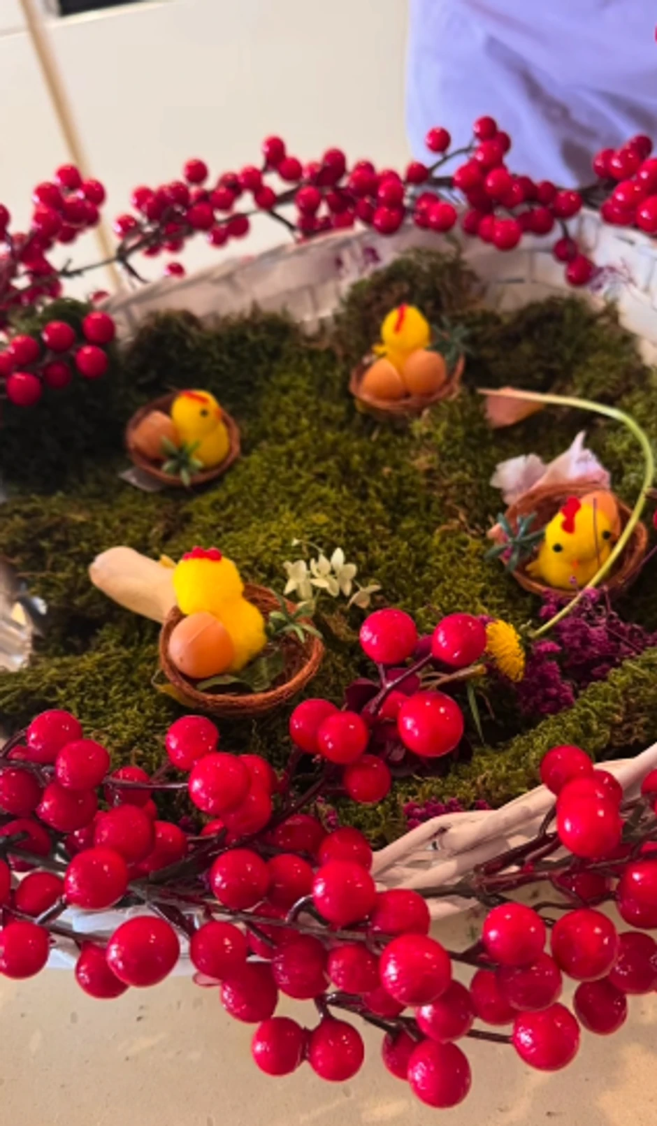 Čeda i Aca spremaju Uskrs