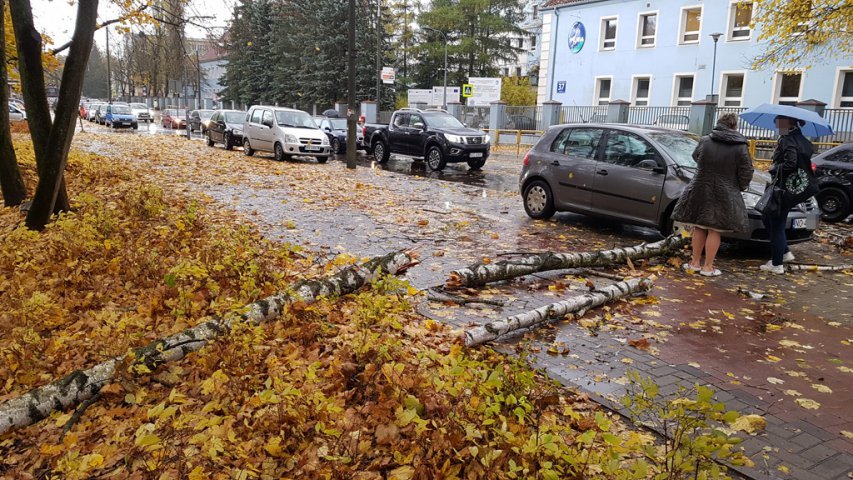 Wichura nad Olsztynem. Na al. Wojska Polskiego na volkswagena spadło drzewo