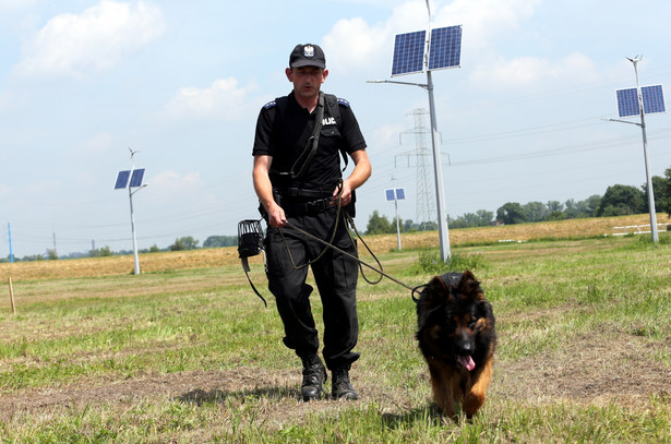 Pokaz pracy węchowej psów policyjnych, mających pracować podczas zabezpieczania Światowych Dni Młodzieży