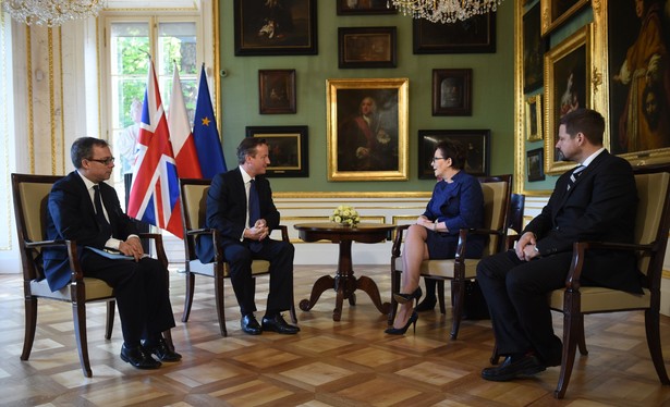 Ewa Kopacz i David Cameron